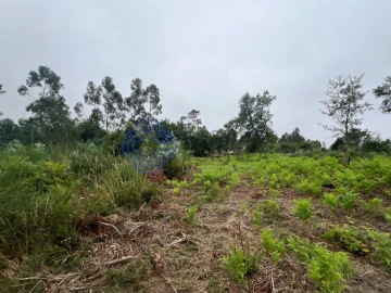 Terreno para Venda em Serzedo e Perosinho