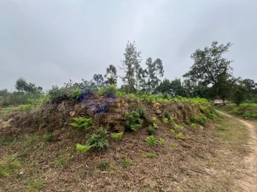 Terreno para Venda em Serzedo e Perosinho