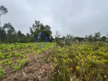Terreno para Venda em Serzedo e Perosinho