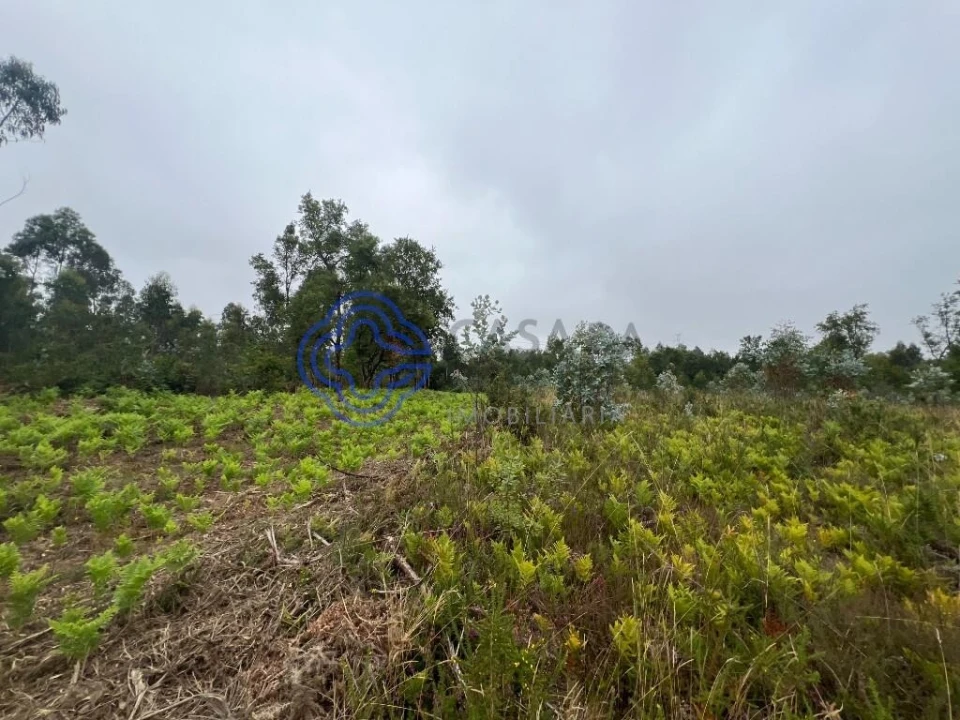 Terreno para Venda em Serzedo e Perosinho Foto 11
