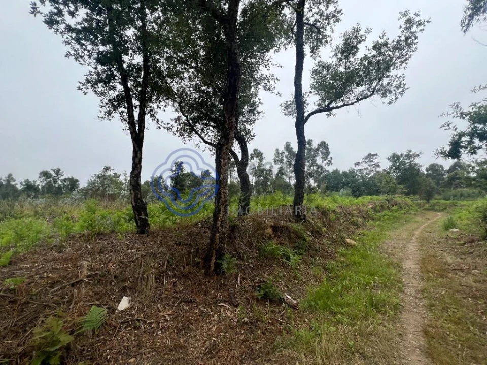 Terreno para Venda em Serzedo e Perosinho Foto 18