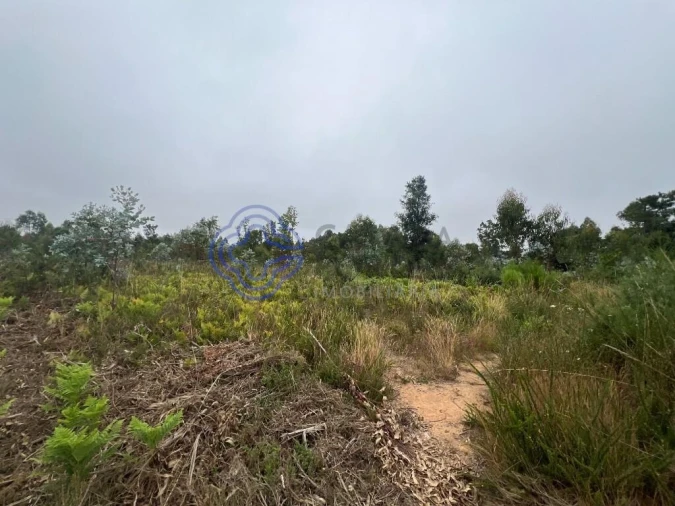Terreno para Venda em Serzedo e Perosinho Foto 7