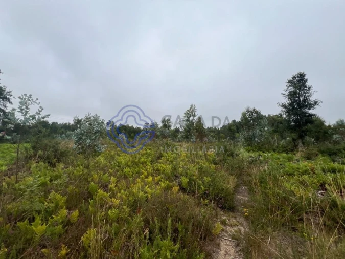 Terreno para Venda em Serzedo e Perosinho Foto 10