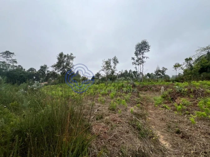 Terreno para Venda em Serzedo e Perosinho Foto 13