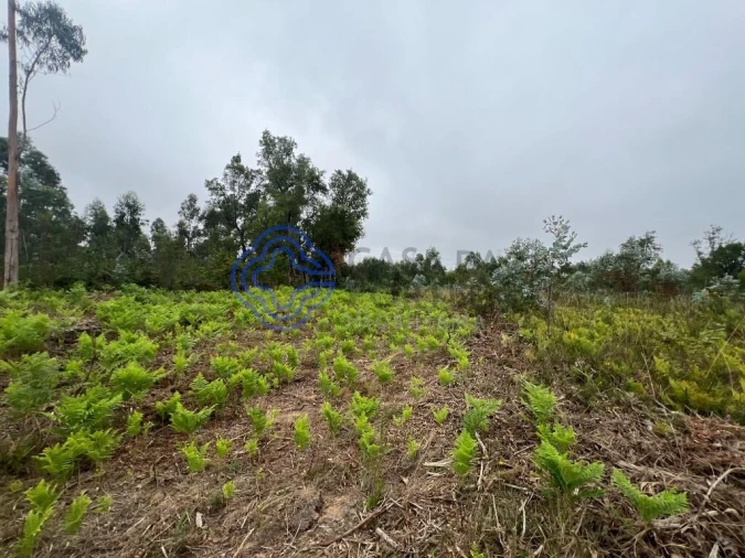 Terreno para Venda em Serzedo e Perosinho Foto 6