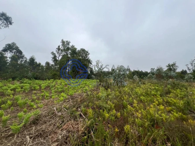 Terreno para Venda em Serzedo e Perosinho Foto 11