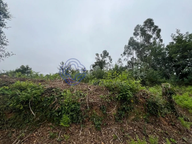 Terreno para Venda em Serzedo e Perosinho Foto 3