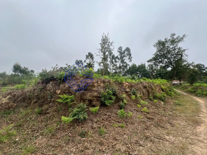 Terreno para Venda em Serzedo e Perosinho Foto 4