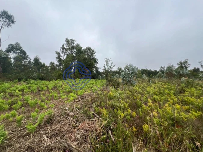 Terreno para Venda em Serzedo e Perosinho Foto 14