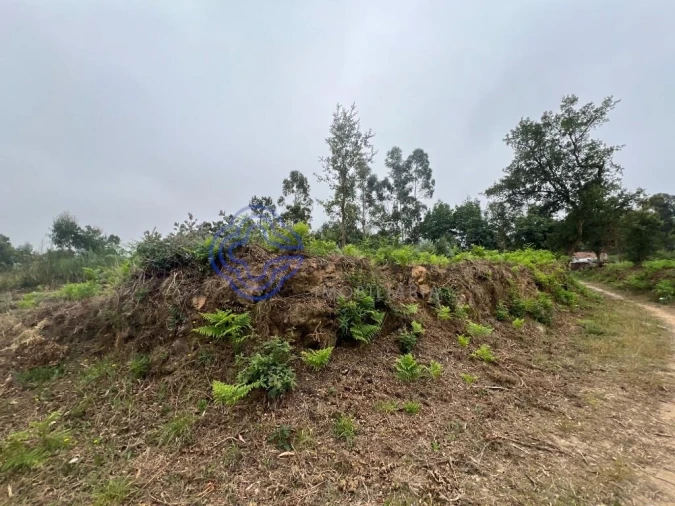 Terreno para Venda em Serzedo e Perosinho Foto 5