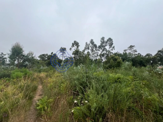 Terreno para Venda em Serzedo e Perosinho Foto 9