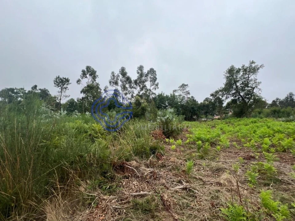 Terreno para Venda em Serzedo e Perosinho Foto 8