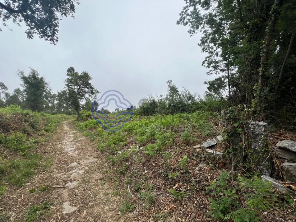 Terreno para Venda em Serzedo e Perosinho Foto 2