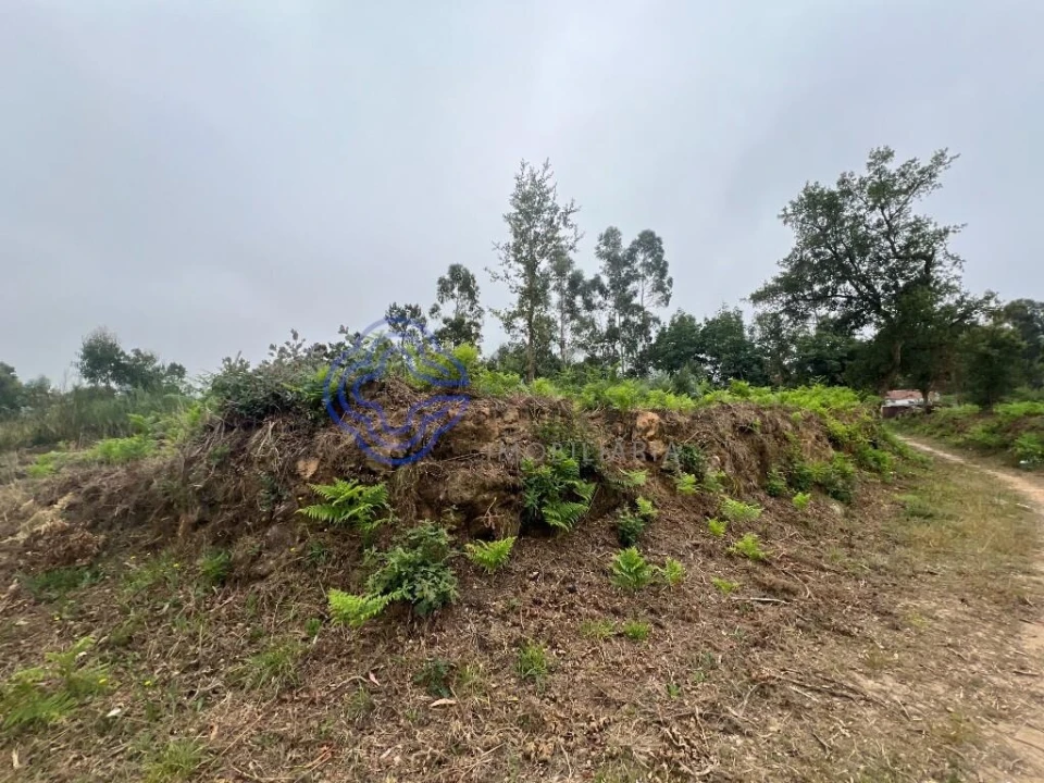 Terreno para Venda em Serzedo e Perosinho Foto 5