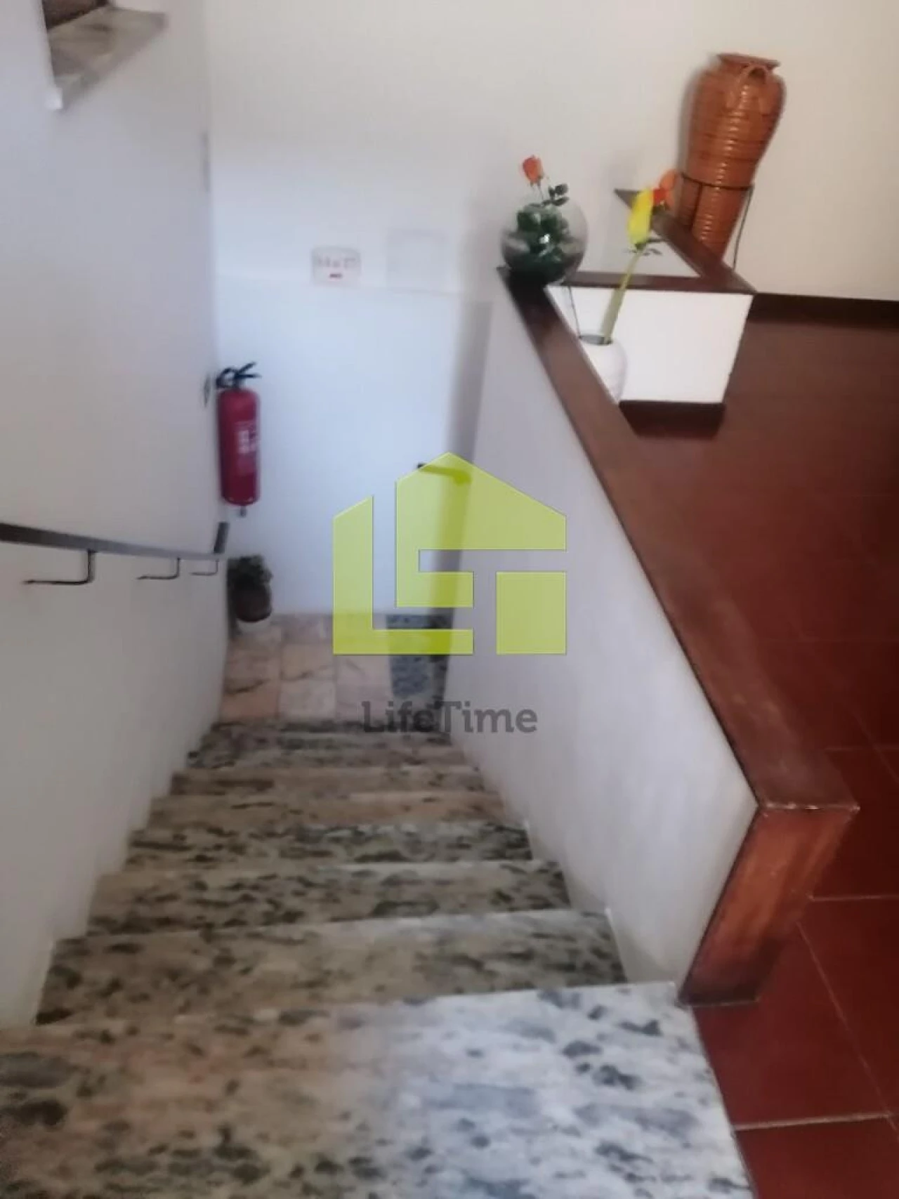 Prédio para Venda em Condeixa-A-Velha e Condeixa-A-Nova Foto 94