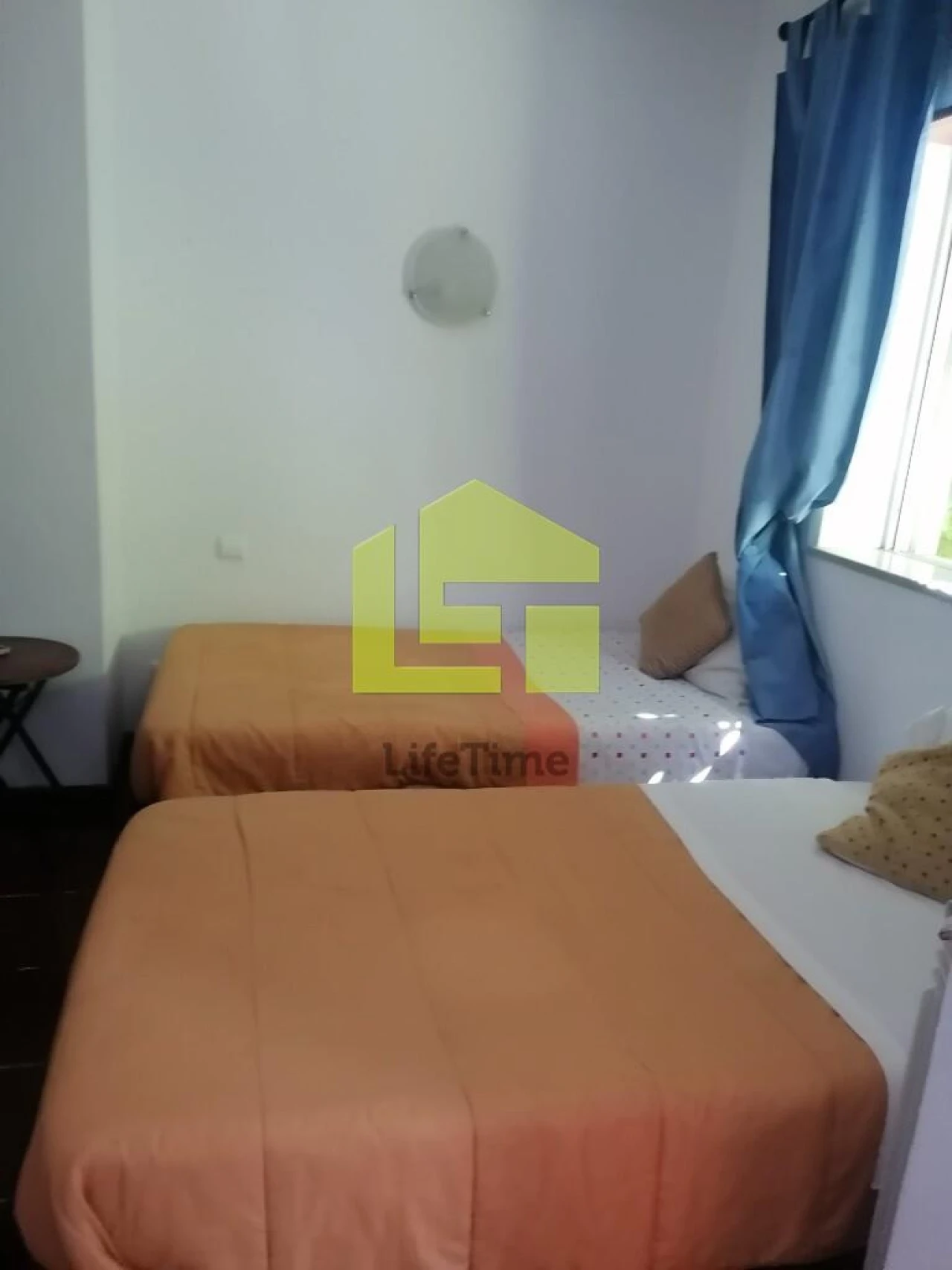Prédio para Venda em Condeixa-A-Velha e Condeixa-A-Nova Foto 103