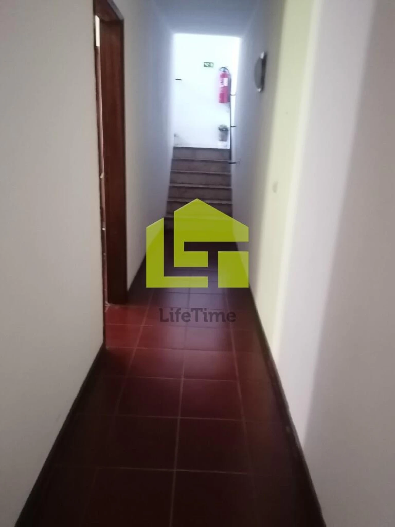 Prédio para Venda em Condeixa-A-Velha e Condeixa-A-Nova Foto 105