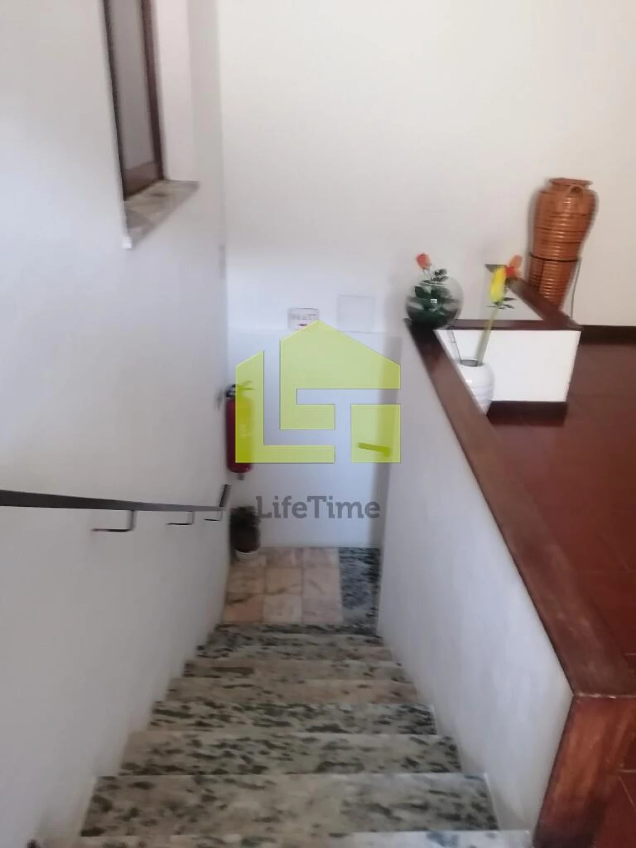 Prédio para Venda em Condeixa-A-Velha e Condeixa-A-Nova Foto 43