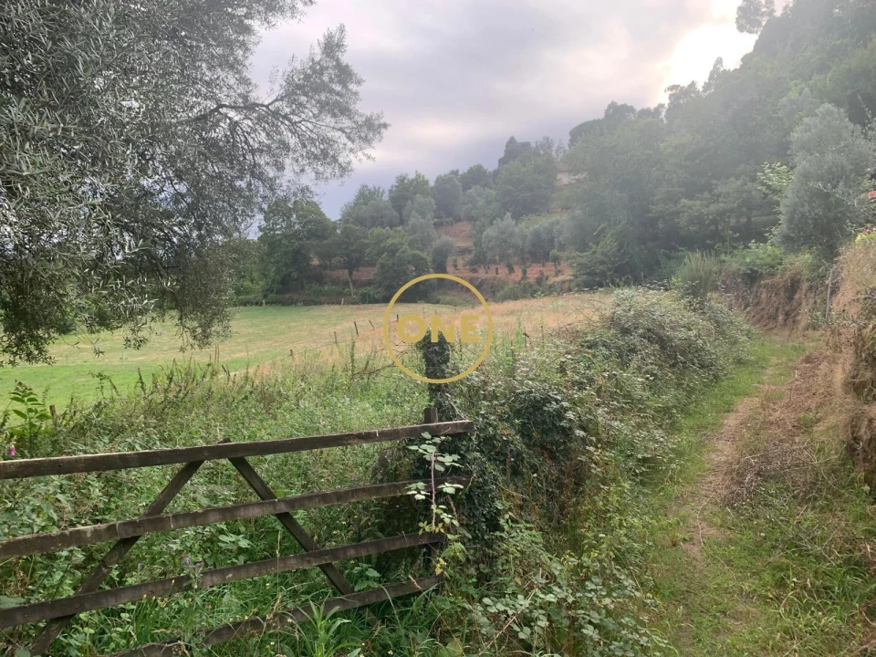 Terreno para Venda em Pinheiro Foto 3