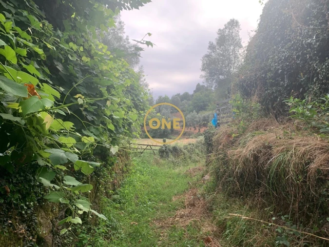 Terreno para Venda em Pinheiro Foto 2