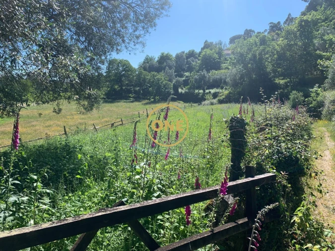 Terreno para Venda em Pinheiro Foto 1