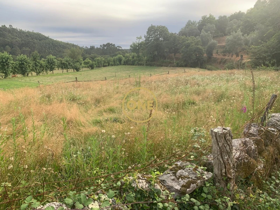 Terreno para Venda em Pinheiro Foto 4