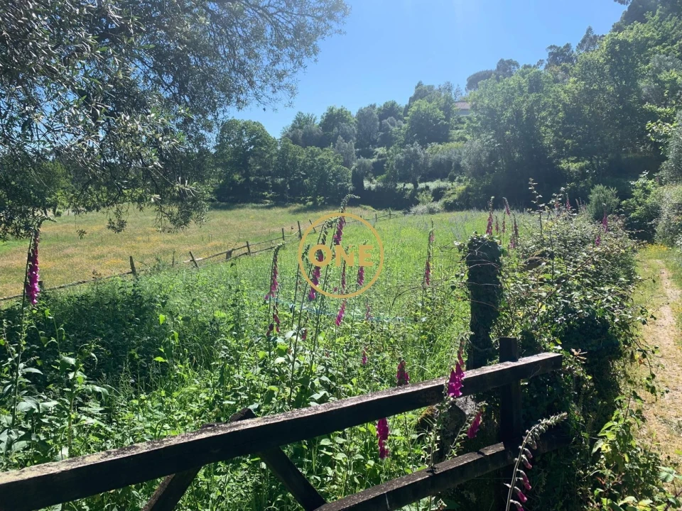 Terreno para Venda em Pinheiro Foto 1