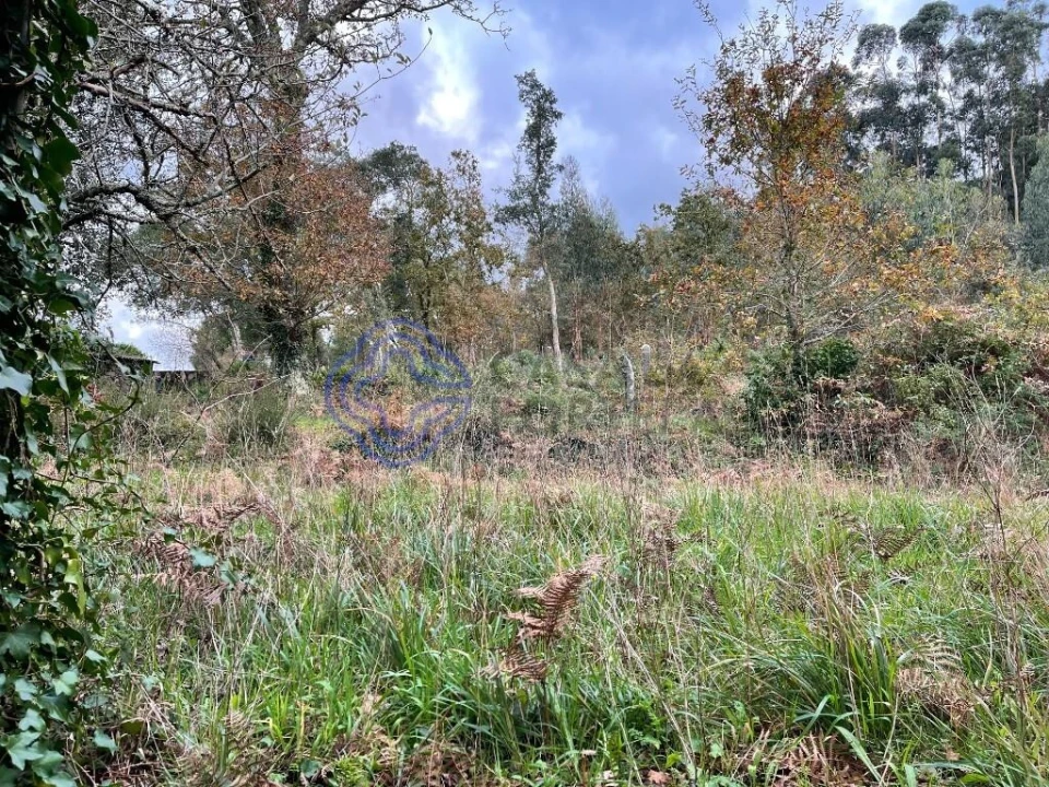 Moradia T3 para Venda em Vilar de Mouros Foto 4