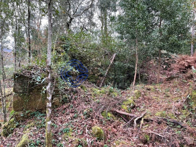 Moradia T3 para Venda em Vilar de Mouros Foto 3