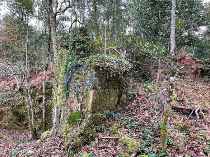 Moradia T3 para Venda em Vilar de Mouros Foto 2