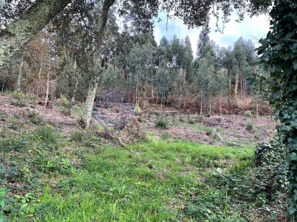 Moradia T3 para Venda em Vilar de Mouros Foto 5