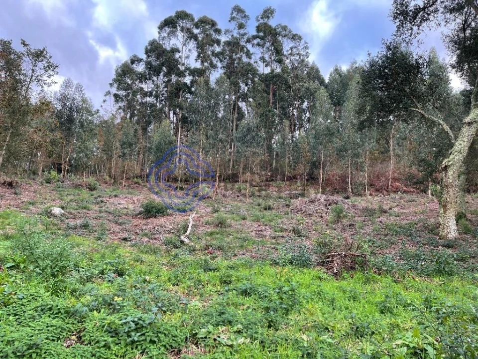 Moradia T3 para Venda em Vilar de Mouros Foto 6