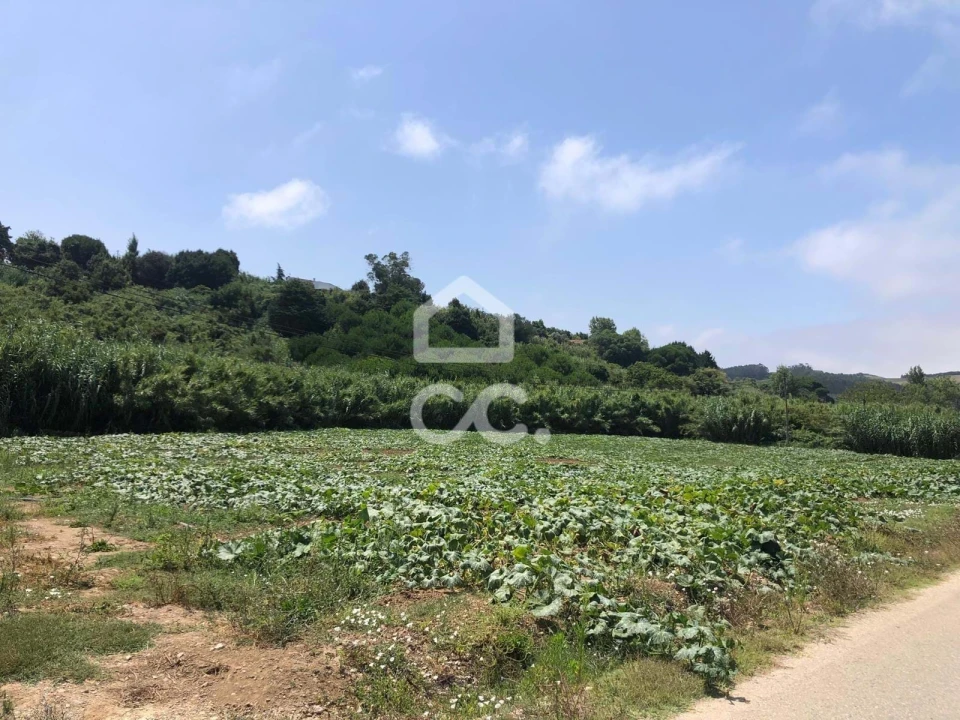 Terreno para Venda em Lourinhã e Atalaia Foto 1