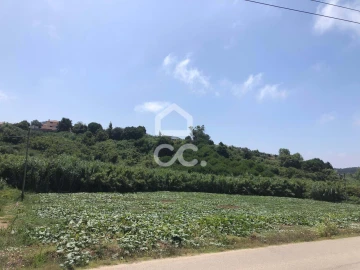 Terreno para Venda em Lourinhã e Atalaia