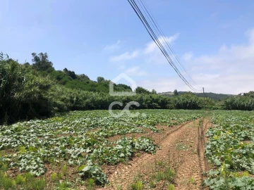 Terreno para Venda em Lourinhã e Atalaia