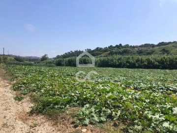 Terreno para Venda em Lourinhã e Atalaia