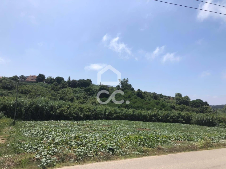 Terreno para Venda em Lourinhã e Atalaia Foto 3