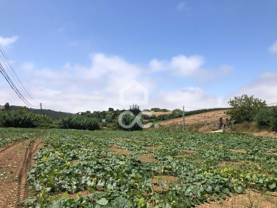 Terreno para Venda em Lourinhã e Atalaia Foto 2
