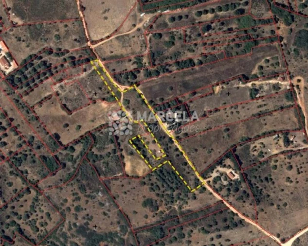 Terreno Agricola ou Rústico para Venda em Barão de São Miguel Foto 8