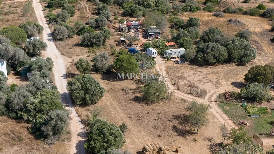 Terreno Agricola ou Rústico para Venda em Barão de São Miguel