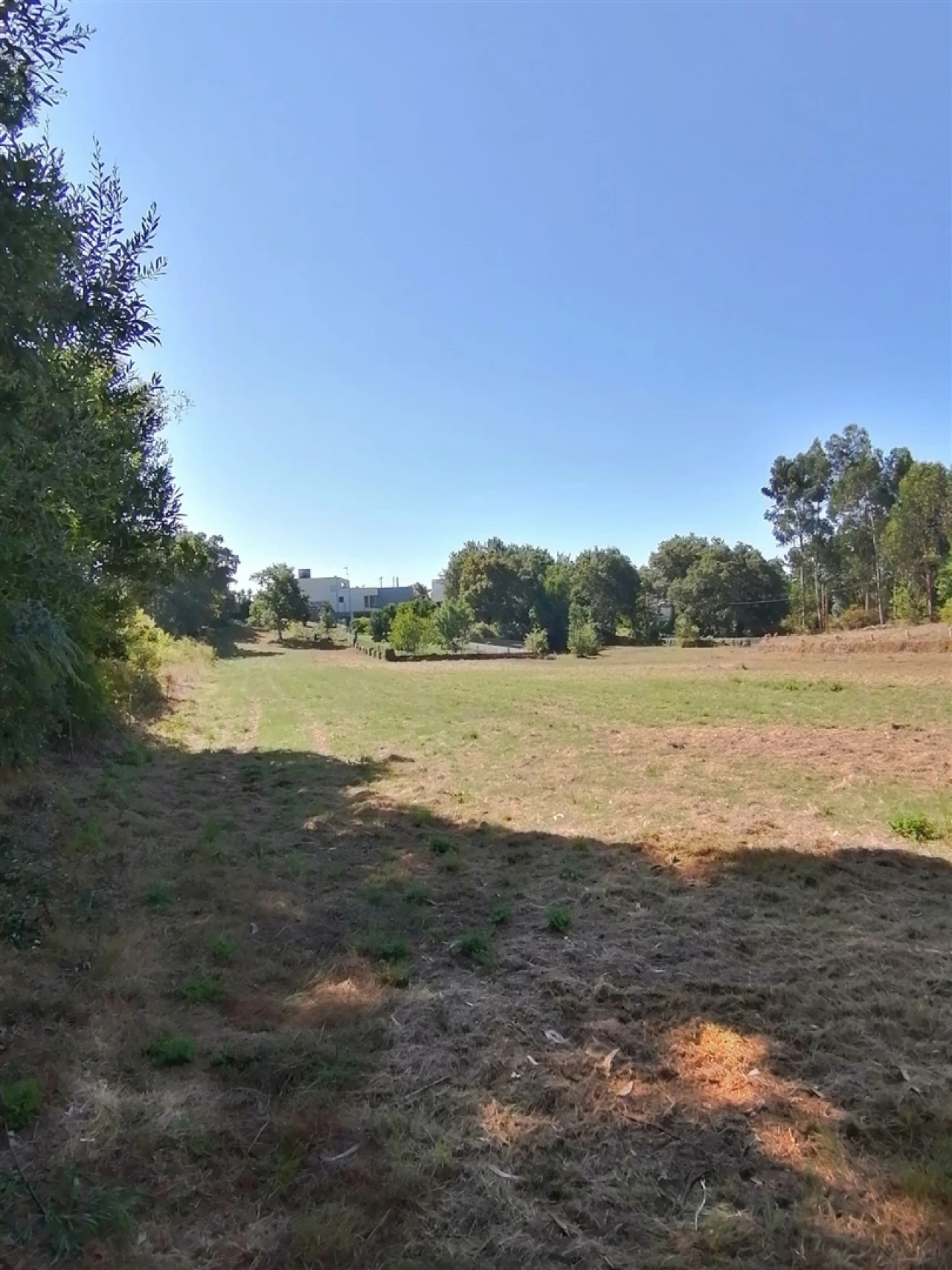 Terreno para Venda em Nogueira, Meixedo e Vilar de Murteda Foto 15