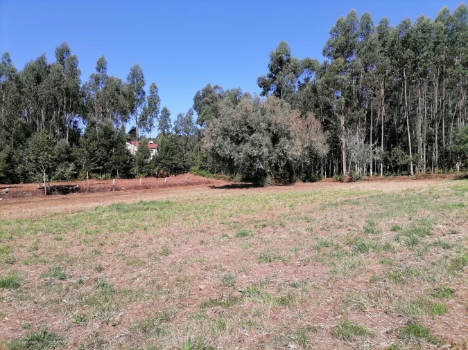 Terreno para Venda em Nogueira, Meixedo e Vilar de Murteda Foto 14