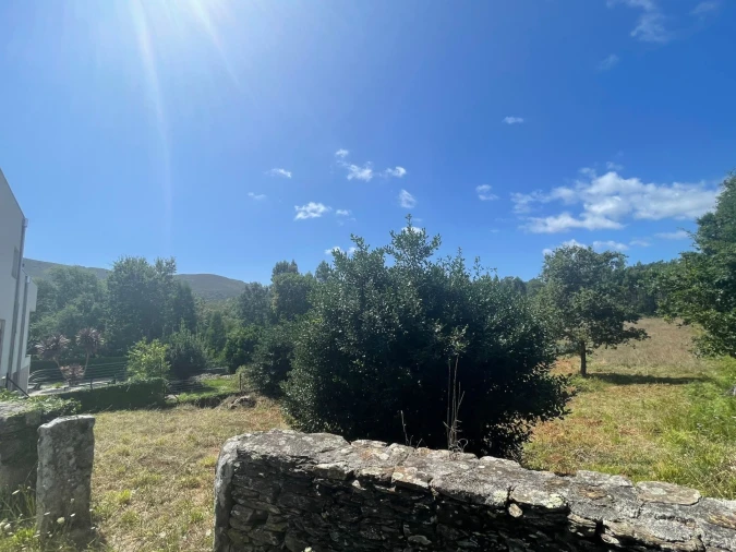 Terreno para Venda em Nogueira, Meixedo e Vilar de Murteda Foto 9