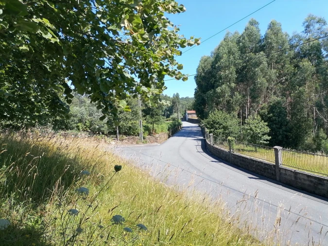 Terreno para Venda em Nogueira, Meixedo e Vilar de Murteda Foto 2
