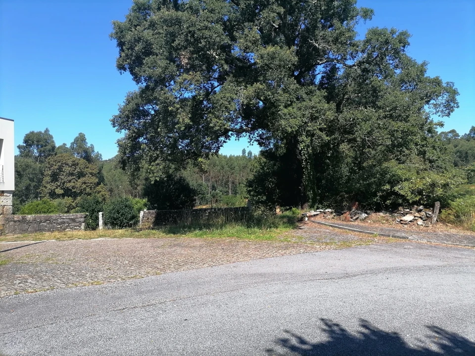 Terreno para Venda em Nogueira, Meixedo e Vilar de Murteda Foto 8