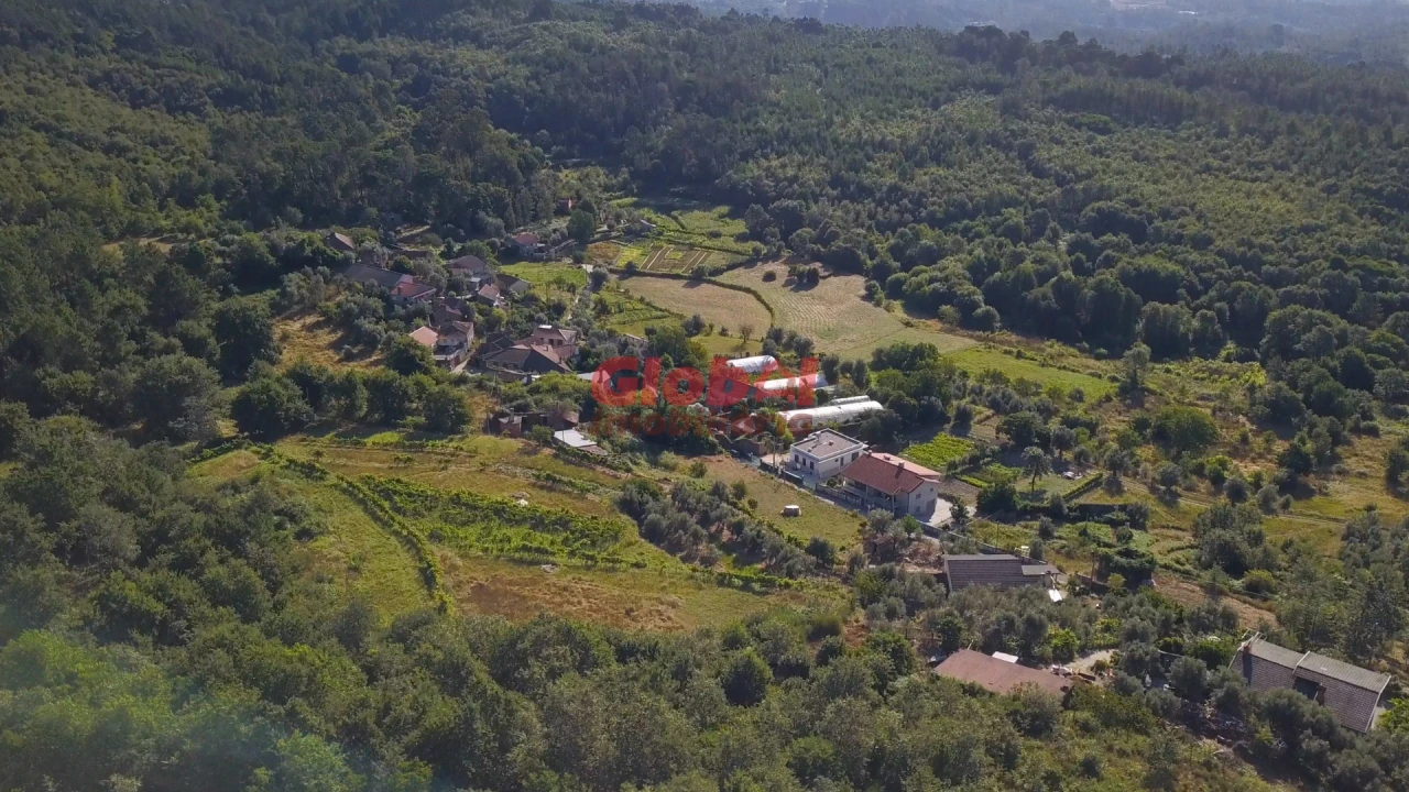 Quinta T0 para Venda em São Pedro de France Foto 4