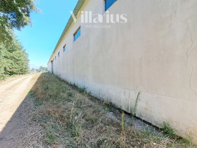 Armazém para Venda em Areias e Pias Foto 43