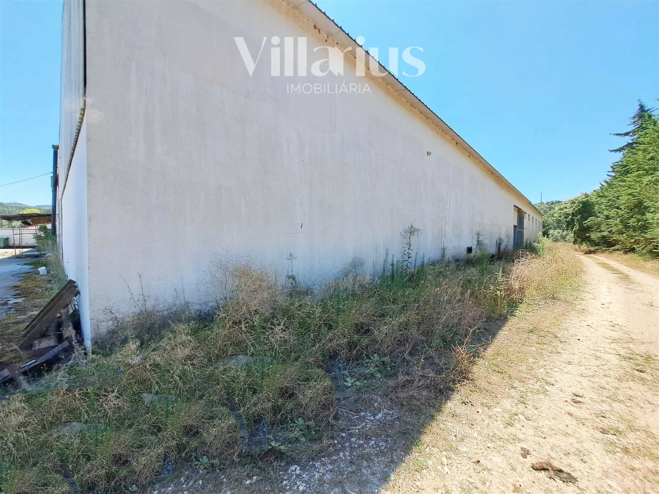 Armazém para Venda em Areias e Pias Foto 44