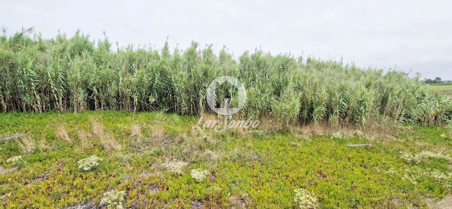 Terreno para Venda em Vila do Conde Foto 4