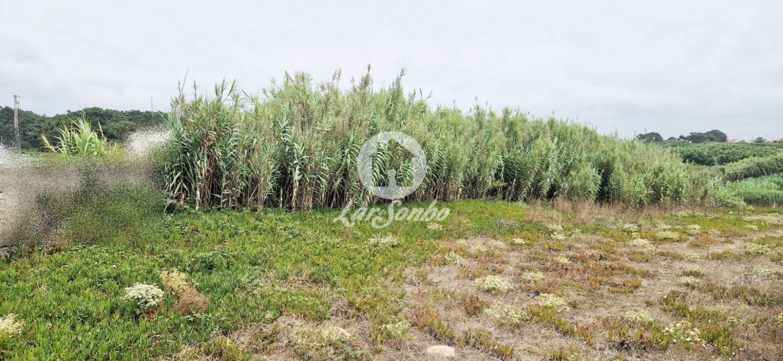 Terreno para Venda em Vila do Conde Foto 5